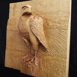 The Peregrine.