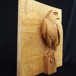 The Peregrine.