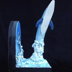 Dolphins
