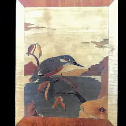 Kingfisher