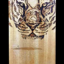 Burnt Tiger