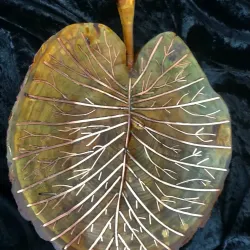 Lily Pad Leaf