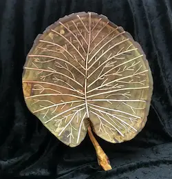 Lily Pad Leaf