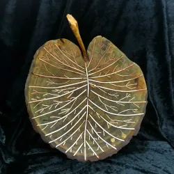 Lily Pad Leaf