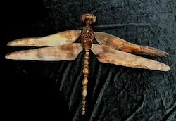 Dragonfly