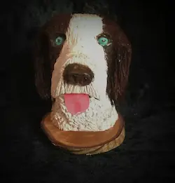 Molly the Springer