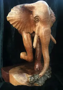 Elephant