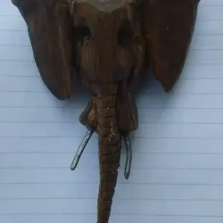 Mr Elephant