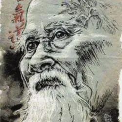The Sensei